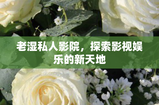 老湿私人影院，探索影视娱乐的新天地