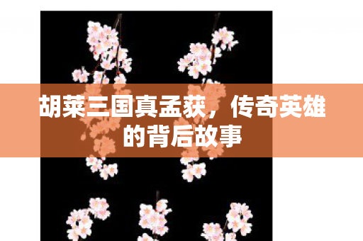 胡莱三国真孟获,传奇英雄的背后故事 胡莱三国真孟获,传奇英雄的背后故事