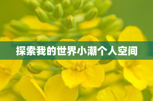 探索我的世界小潮个人空间 探索我的世界小潮个人空间