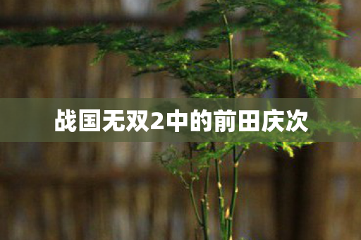 战国无双2中的前田庆次 战国无双2中的前田庆次