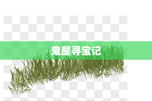 鬼屋寻宝记 鬼屋寻宝记