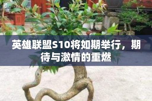 英雄联盟S10将如期举行，期待与激情的重燃