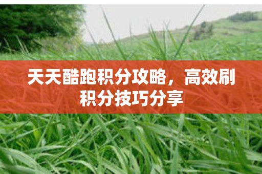 天天酷跑积分攻略,高效刷积分技巧分享 天天酷跑积分攻略,高效刷积分技巧分享