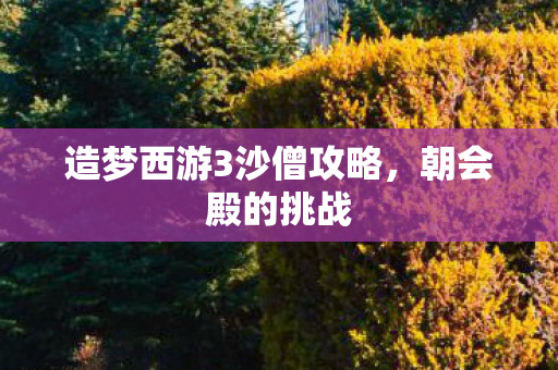 造梦西游3沙僧攻略,朝会殿的挑战 造梦西游3沙僧攻略,朝会殿的挑战