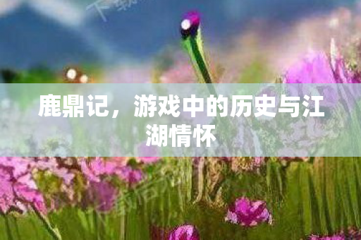 鹿鼎记,游戏中的历史与江湖情怀 鹿鼎记,游戏中的历史与江湖情怀