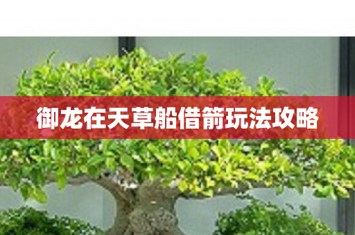 御龙在天草船借箭玩法攻略 御龙在天草船借箭玩法攻略