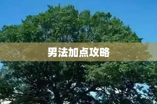 男法加点攻略 男法加点攻略
