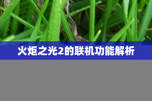 火炬之光2的联机功能解析