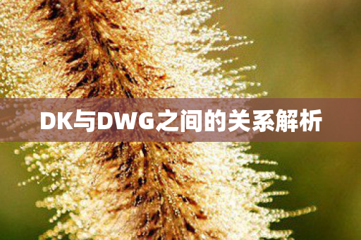DK与DWG之间的关系解析 DK与DWG之间的关系解析