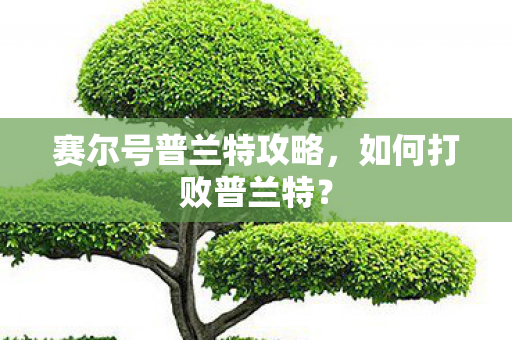 赛尔号普兰特攻略,如何打败普兰特? 赛尔号普兰特攻略,如何打败普兰特?