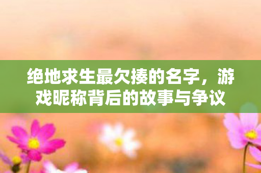 绝地求生最欠揍的名字,游戏昵称背后的故事与争议 绝地求生最欠揍的名字,游戏昵称背后的故事与争议