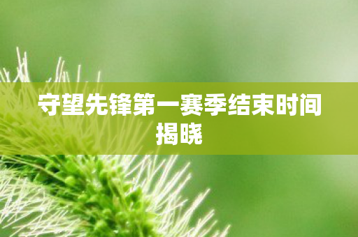 守望先锋第一赛季结束时间揭晓