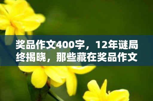 奖品作文400字,12年谜局终揭晓,那些藏在奖品作文里的泪目真相 奖品作文400字,12年谜局终揭晓,那些藏在奖品作文里的泪目真相
