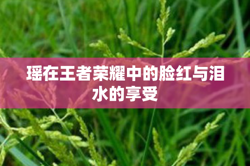 瑶在王者荣耀中的脸红与泪水的享受