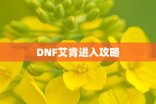 DNF艾肯进入攻略
