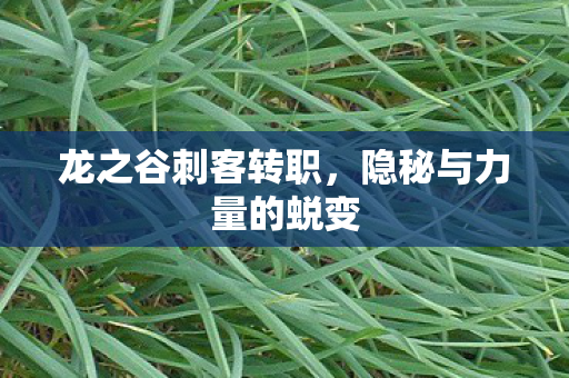 龙之谷刺客转职，隐秘与力量的蜕变