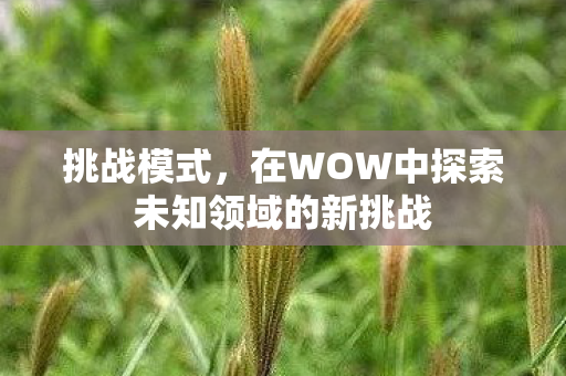 挑战模式,在WOW中探索未知领域的新挑战 挑战模式,在WOW中探索未知领域的新挑战