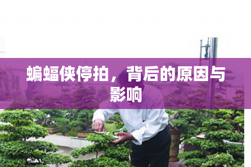 蝙蝠侠停拍，背后的原因与影响