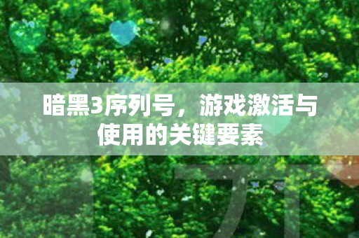 暗黑3序列号，游戏激活与使用的关键要素