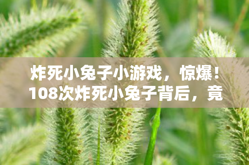 108次炸死小兔子背后图片