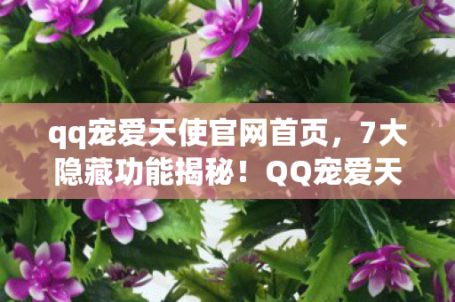 QQ宠爱天使官网背后藏着什么惊人秘密图片