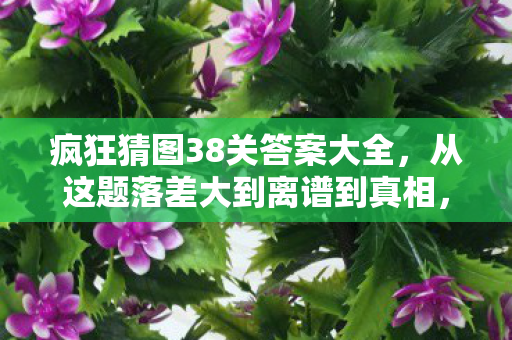从这题落差大到离谱到真相图片