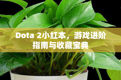 Dota 2小红本,游戏进阶指南与收藏宝典 Dota 2小红本,游戏进阶指南与收藏宝典