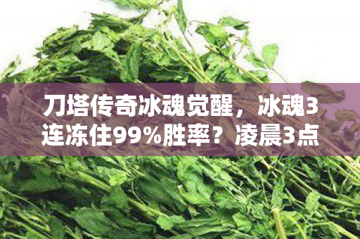凌晨3点我删号前最后一战图片