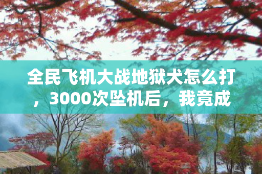 我竟成了地狱犬的专属飞行员图片
