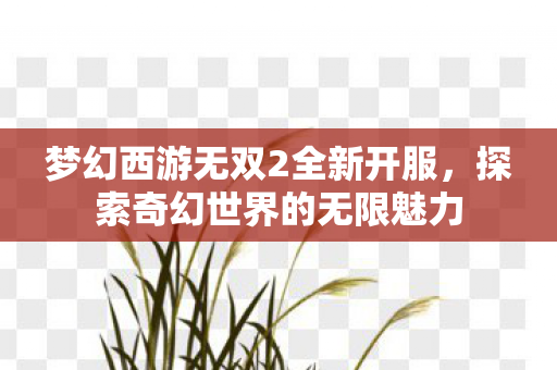梦幻西游无双2全新开服,探索奇幻世界的无限魅力 梦幻西游无双2全新开服,探索奇幻世界的无限魅力