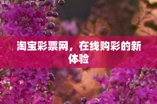 淘宝彩票网,在线购彩的新体验 淘宝彩票网,在线购彩的新体验