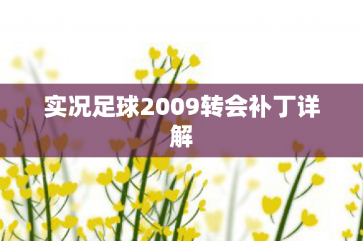 实况足球2009转会补丁详解 实况足球2009转会补丁详解