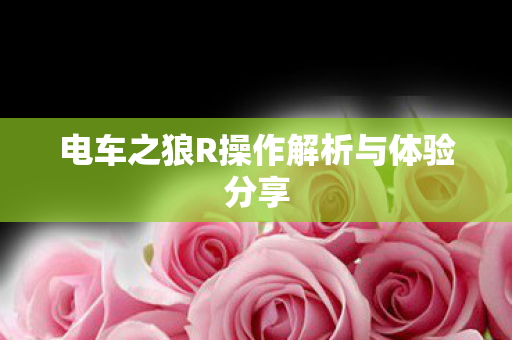 电车之狼R操作解析与体验分享 电车之狼R操作解析与体验分享