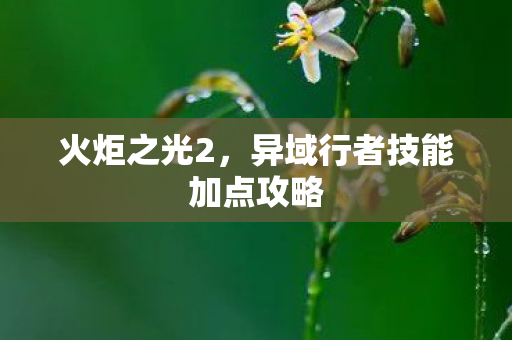 火炬之光2,异域行者技能加点攻略 火炬之光2,异域行者技能加点攻略