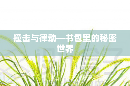 撞击与律动—书包里的秘密世界