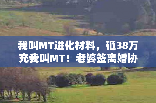我叫MT进化材料，砸38万充我叫MT！老婆签离婚协议那刻，我才知家底早被掏空！