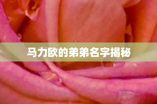 马力欧的弟弟名字揭秘 马力欧的弟弟名字揭秘