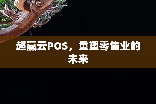 超赢云POS,重塑零售业的未来 超赢云POS,重塑零售业的未来
