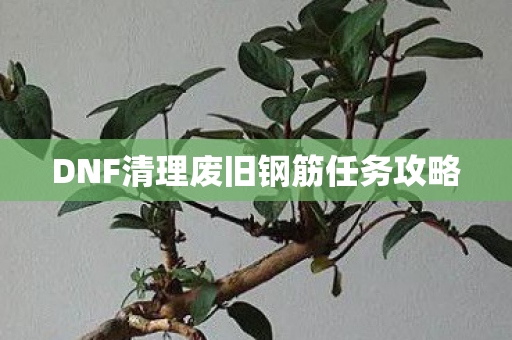 DNF清理废旧钢筋任务攻略 DNF清理废旧钢筋任务攻略