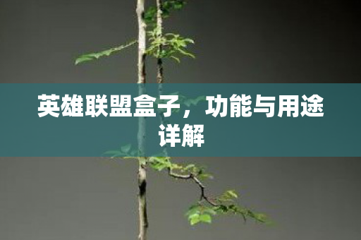 英雄联盟盒子,功能与用途详解 英雄联盟盒子,功能与用途详解