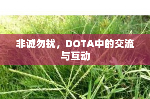 非诚勿扰,DOTA中的交流与互动 非诚勿扰,DOTA中的交流与互动