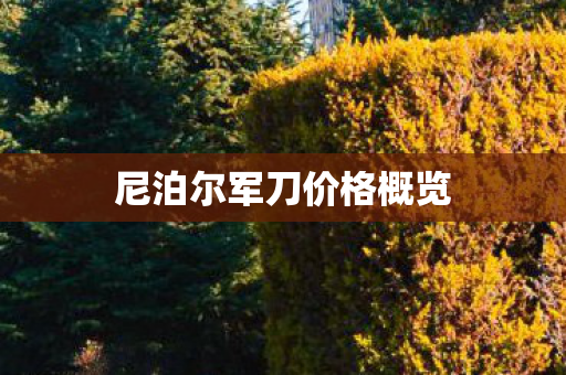 尼泊尔军刀价格概览 尼泊尔军刀价格概览