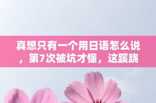 真想只有一个用日语怎么说图片