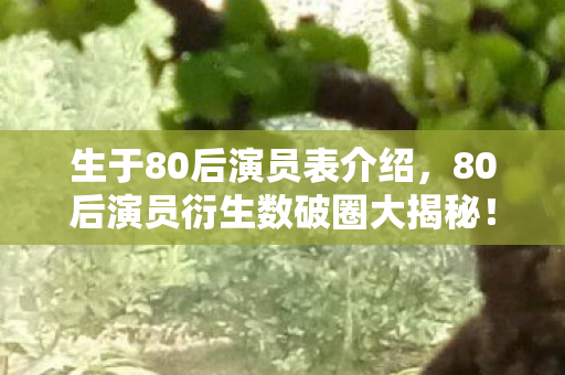 80后演员衍生数破圈大揭秘图片
