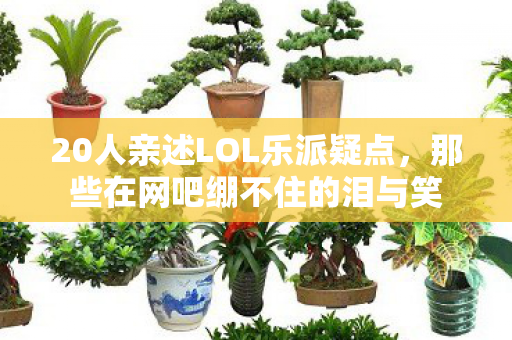 20人亲述LOL乐派疑点图片