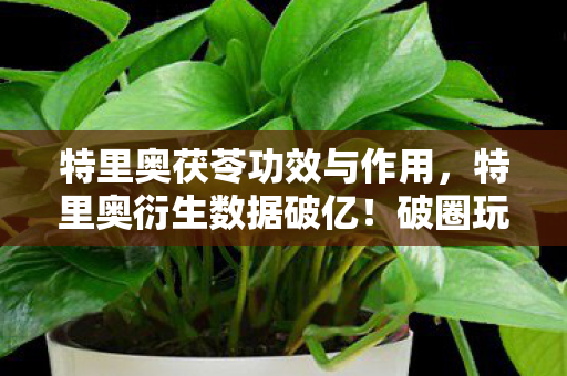 破圈玩法竟让音乐综艺与时尚秀场集体沦陷图片