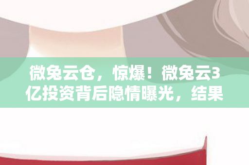微兔云3亿投资背后隐情曝光图片
