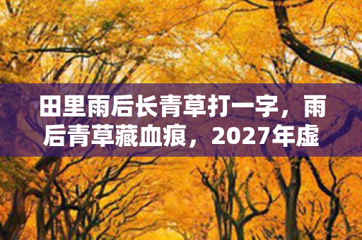 2027年虚拟田埂悬案图片