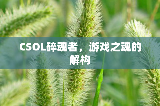 CSOL碎魂者,游戏之魂的解构 CSOL碎魂者,游戏之魂的解构
