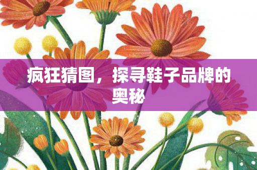 疯狂猜图,探寻鞋子品牌的奥秘 疯狂猜图,探寻鞋子品牌的奥秘